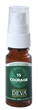 Image de Elixir floral Deva Courage