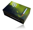 Image de Cigarette Electronique Rechargeable Smokelec